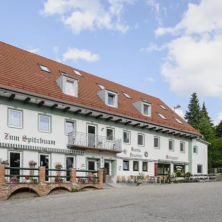 Zum Spitzbuam *